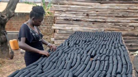 Les femmes ougandaises transforment les déchets agricoles en biocarburants contre la déforestation