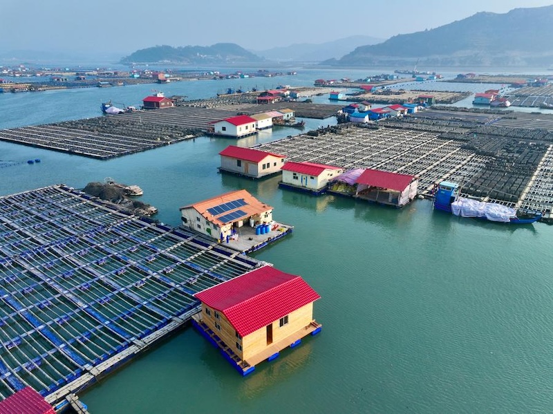 Photo aérienne d'une zone de mariculture dans le district de Xiapu de la province du Fujian, dans le sud-est de la Chine. (Photo : Jiang Kehong)