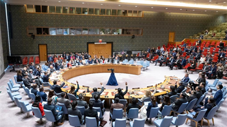 《国家联盟理事会》采纳了与加沙问题有关的新的解决方案