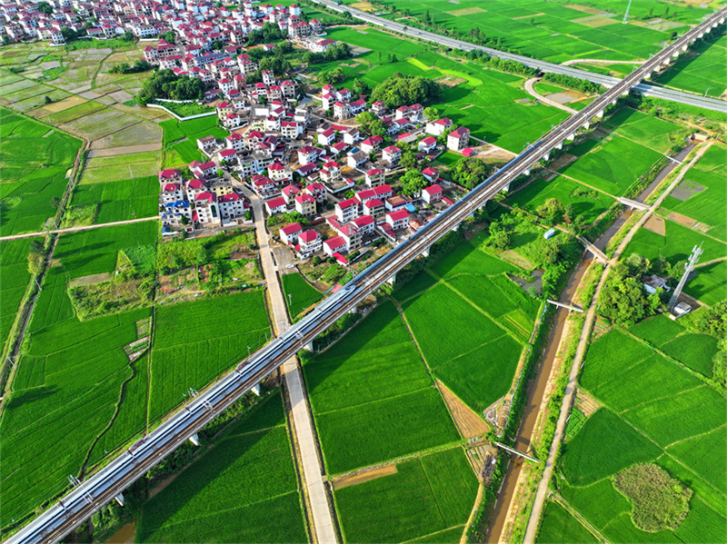 Jiangxi : les nouvelles zones rurales belles et harmonieuses du district de Dongxiang, à Fuzhou
