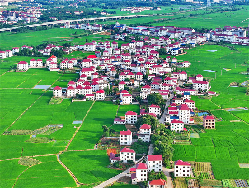 Jiangxi : les nouvelles zones rurales belles et harmonieuses du district de Dongxiang, à Fuzhou