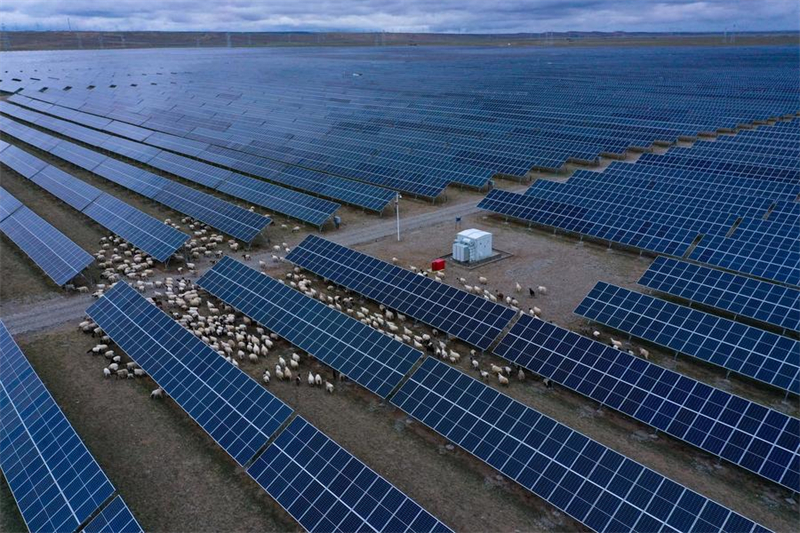 Photo aérienne prise par un drone d'un troupeau de moutons entre les panneaux solaires d'une centrale photovoltaïque du district de Gonghe, dans la préfecture autonome tibétaine de Hainan, dans la province chinoise du Qinghai (nord-ouest), le 9 juin 2022. (Photo : Zhang Long)