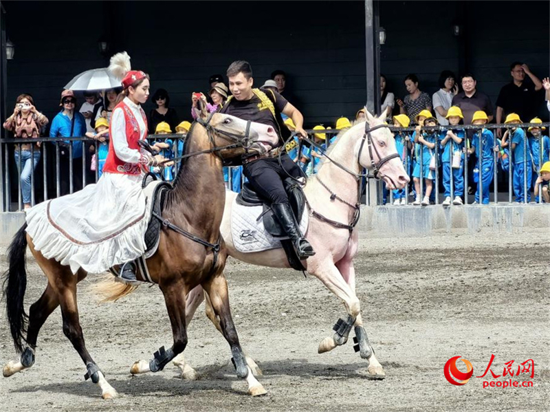 Xinjiang : l'Ancien parc écologique des chevaux sauvages, paradis des chevaux de race