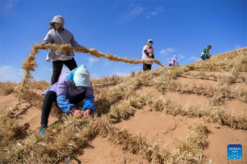 Ningxia : un outil et une technologie innovants contribuent au contrôle du sable à Zhongwei