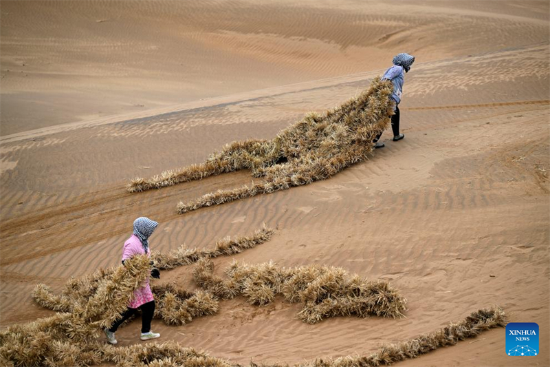 Ningxia : un outil et une technologie innovants contribuent au contrôle du sable à Zhongwei