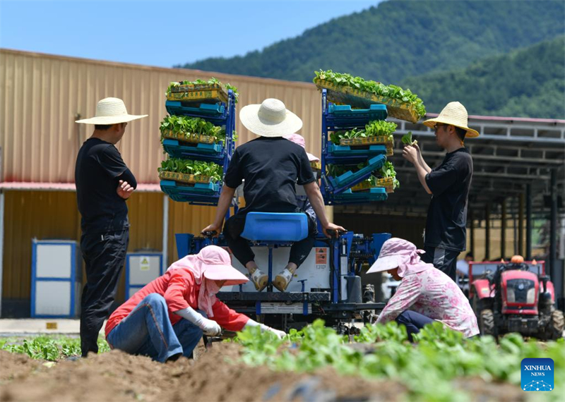 Shaanxi : Baoji soutient le développement vert de l'agriculture
