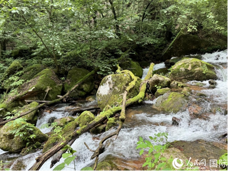 Jilin : venez au mont Wunü et profitez d'un été frais !