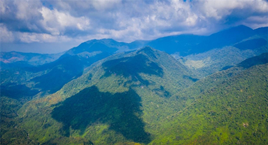 Hainan explore des mécanismes de compensation pour protéger l'écologie des forêts tropicales