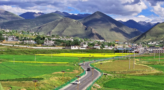 Xizang : des milliers d'hectares de fleurs de colza s'épanouissent près de Lhassa