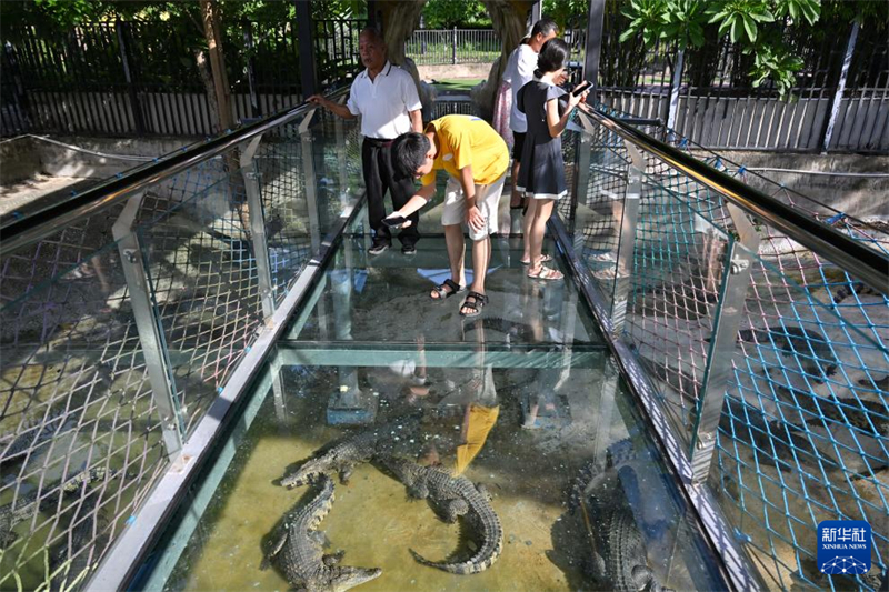 Hainan : à la découverte du « canton des crocodiles » de Dongfang