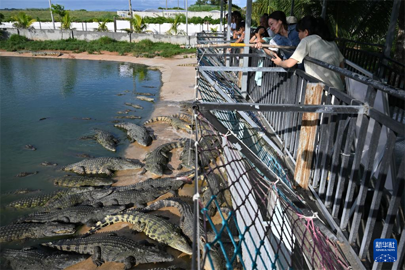 Hainan : à la découverte du « canton des crocodiles » de Dongfang