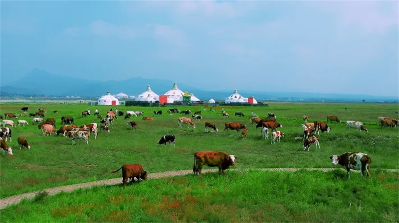 Mongolie intérieure : Hohhot, célèbre ville historique sur la route du thé