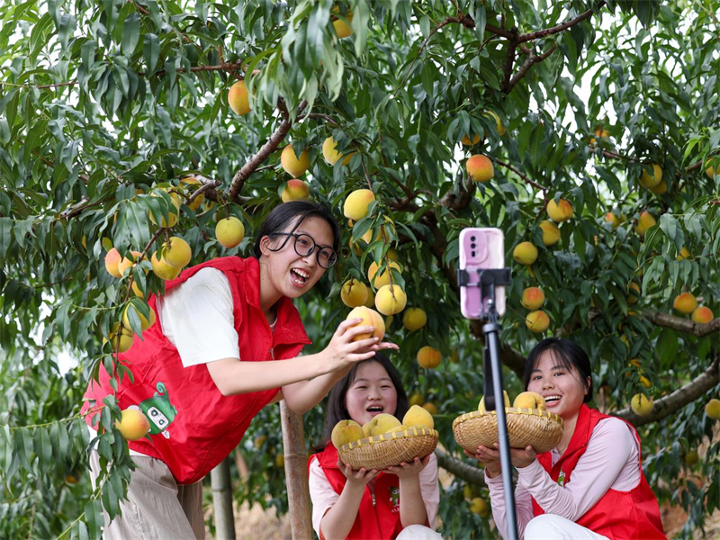 Guizhou : des jeunes volontaires font de la diffusion en direct pour aider les agriculteurs de Yuping à vendre leurs produits