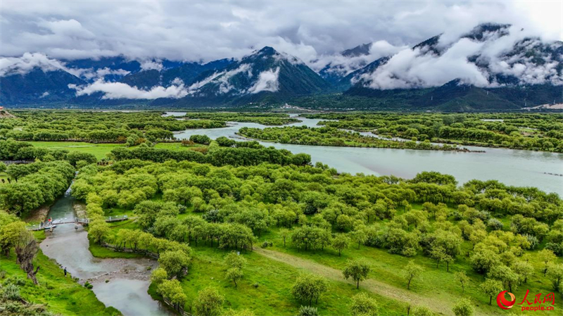 Xizang : à la découverte du Parc national des zones humides de Yani