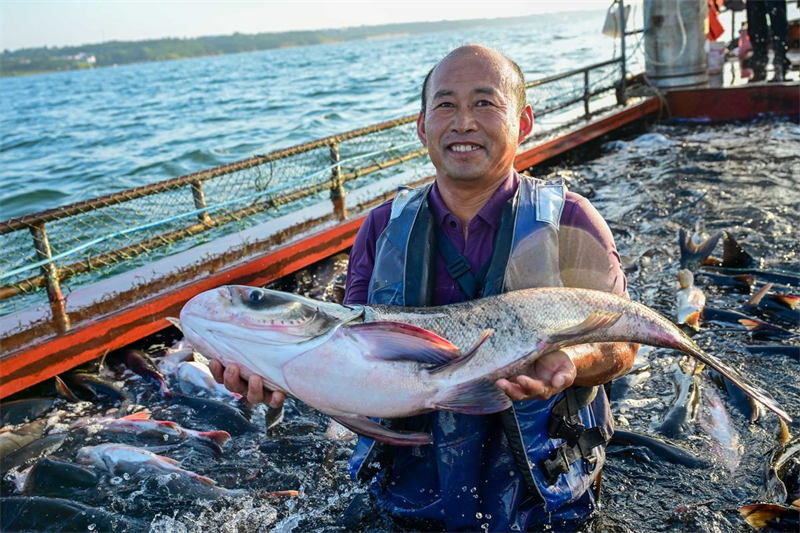 Henan : dans le comté de Song, les poissons sautent et les gens se réjouissent