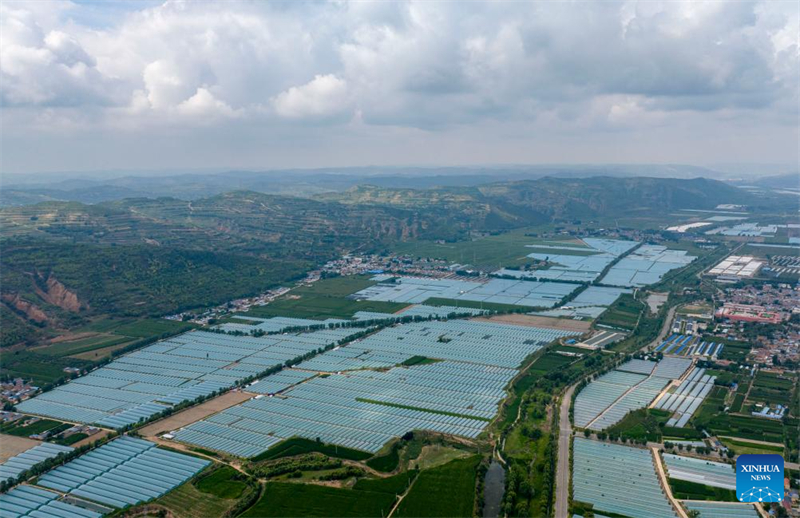 Ningxia : Guyang améliore l'agriculture industrielle pour augmenter la production de légumes