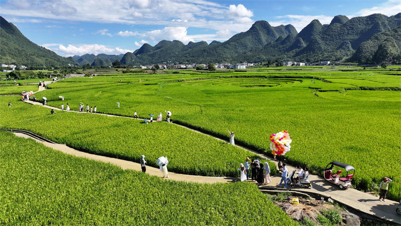 Guizhou : la pittoresque campagne de Xingyi en été