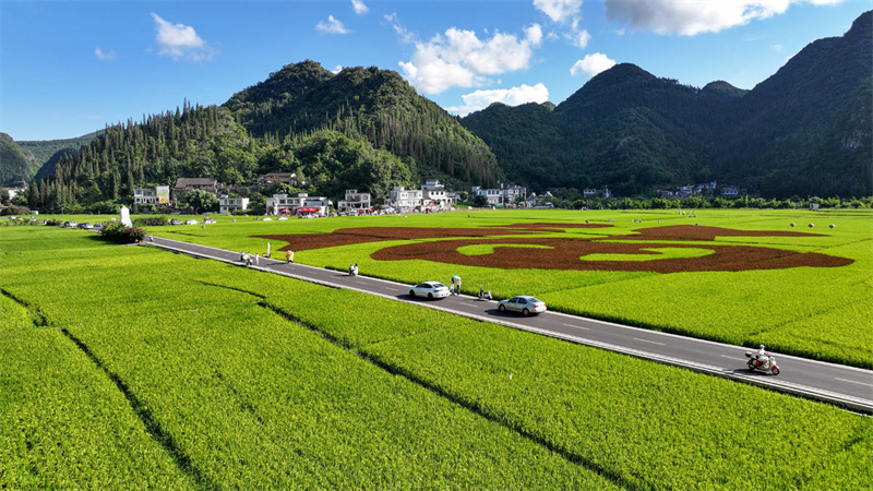 Guizhou : la pittoresque campagne de Xingyi en été