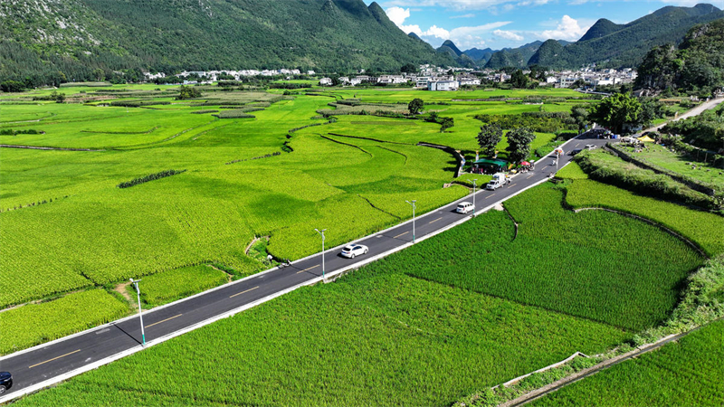 Guizhou : la pittoresque campagne de Xingyi en été