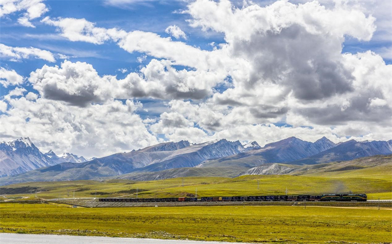 Les implications écologiques des grands travaux de génie civil en Chine