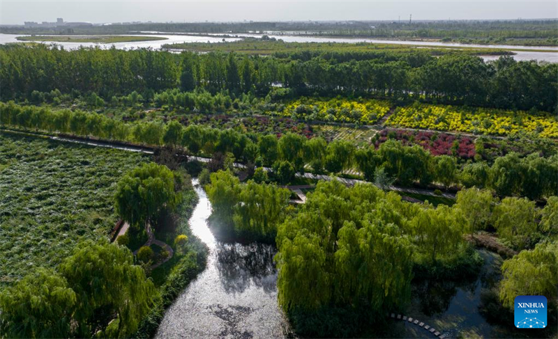 Ningxia : Wuzhong attire les touristes grâce à l'amélioration de son environnement écologique