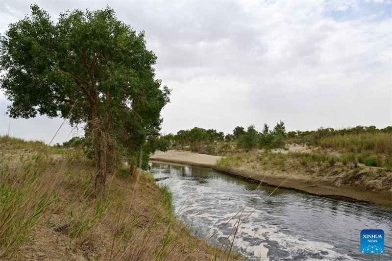 Le Xinjiang a commencé à détourner les eaux vers le plus long fleuve intérieur de Chine