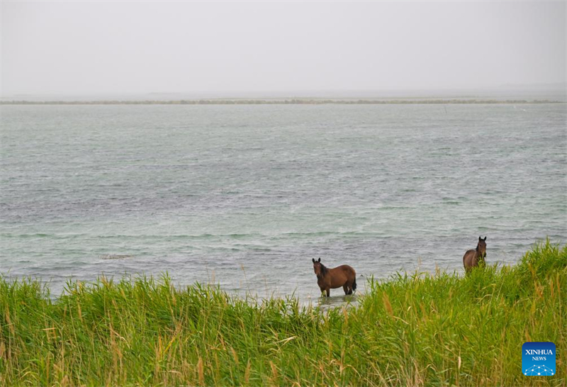 Le Xinjiang a commencé à détourner les eaux vers le plus long fleuve intérieur de Chine