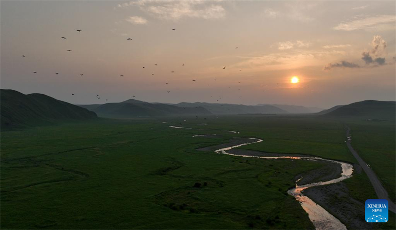 Un aperçu de la barrière de sécurité écologique dans le nord-est de la Chine