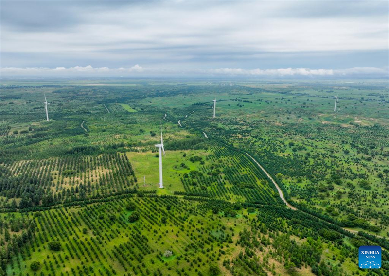 Un aperçu de la barrière de sécurité écologique dans le nord-est de la Chine