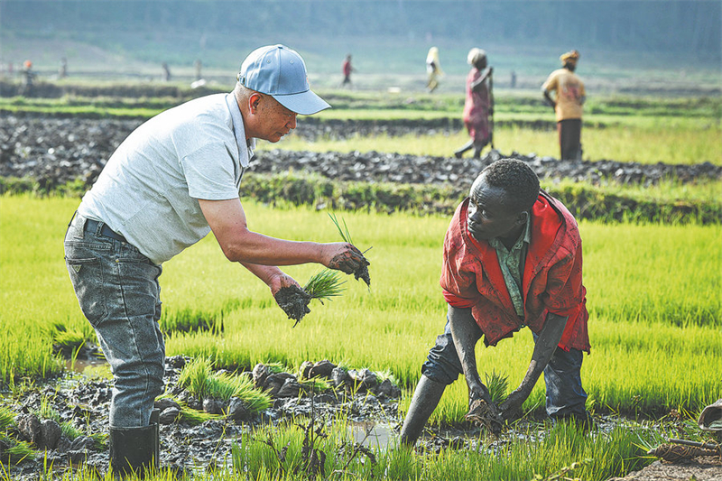 Comment une technologie de récolte chinoise sème les graines de la croissance en Afrique