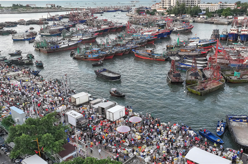 Guangxi : les transactions sur le port et le quai de pêche de Beihai battent leur plein