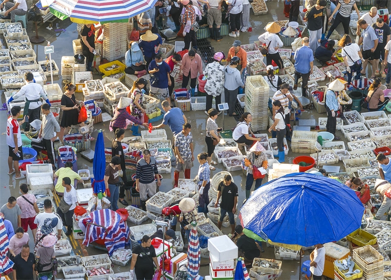 Guangxi : les transactions sur le port et le quai de pêche de Beihai battent leur plein