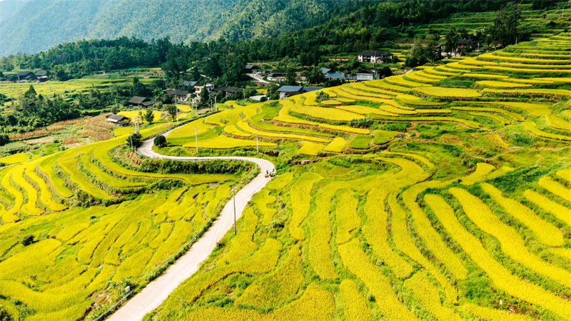 Hunan : les riches paysages de la campagne montagneuse de Dong'an