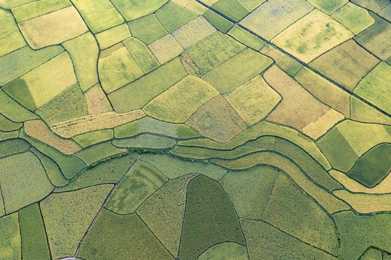 Guizhou : les magnifiques paysages pastoraux de Shibing au début de l'automne