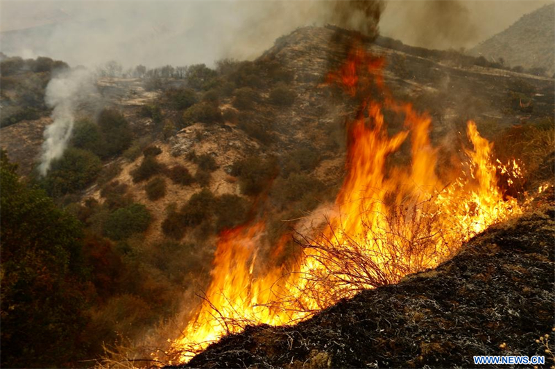 Photo prise le 7 septembre 2024 montrant un feu de brousse dans le comté de San Bernardino, en Californie, aux Etats-Unis. Une importante vague de chaleur a frappé cette semaine la Californie du Sud avec des records de haute température dans plusieurs secteurs vendredi. Des centaines de pompiers se battent contre le feu en propagation rapide dans le comté de San Bernardino, qui s'est étendu sur environ 4,8 km² au cours des dernières 24 heures. (Xinhua/Qiu Chen)