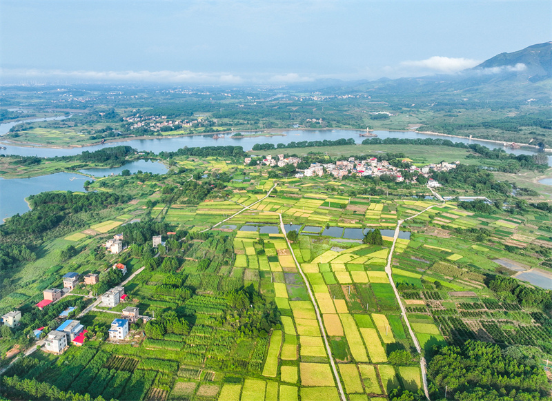 Hunan : le riche paysage des champs fertiles sillonnés de routes du comté de Dao