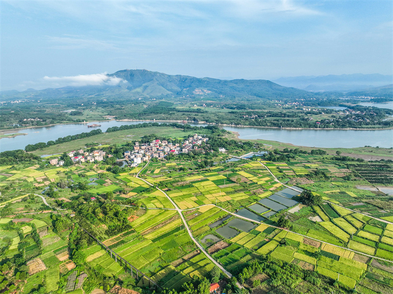 Hunan : le riche paysage des champs fertiles sillonnés de routes du comté de Dao