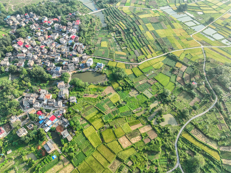 Hunan : le riche paysage des champs fertiles sillonnés de routes du comté de Dao