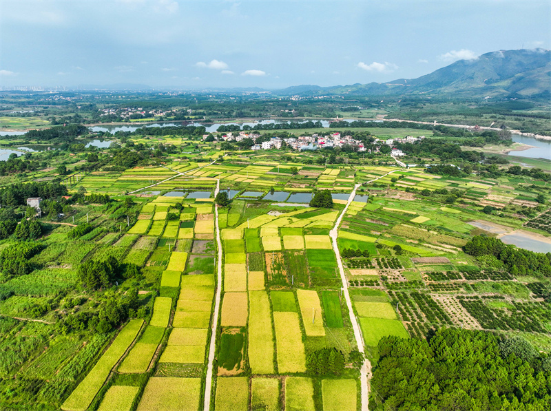 Hunan : le riche paysage des champs fertiles sillonnés de routes du comté de Dao