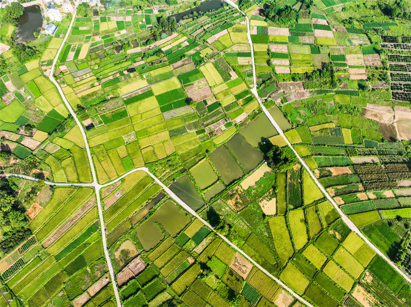 Hunan : le riche paysage des champs fertiles sillonnés de routes du comté de Dao