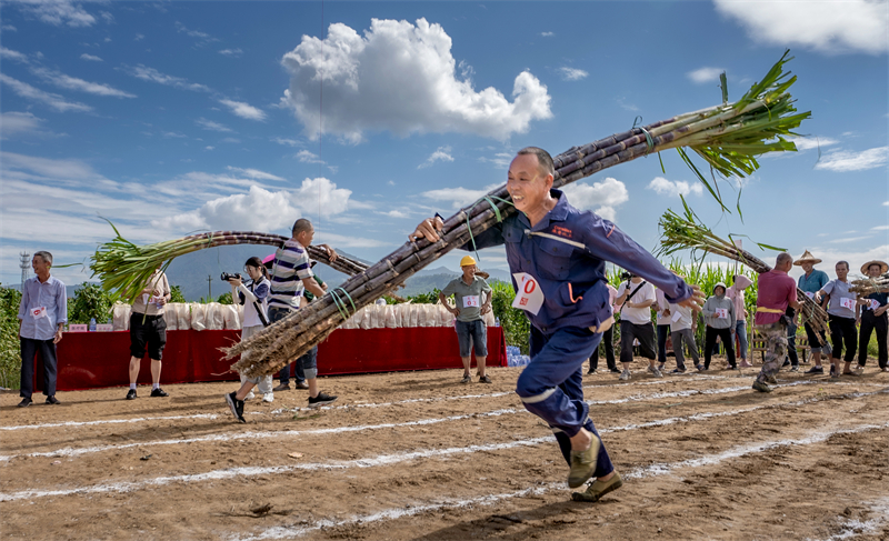 Fujian : une rencontre sportive ludique organisée pour les cultivateurs de canne à sucre de Yongchun