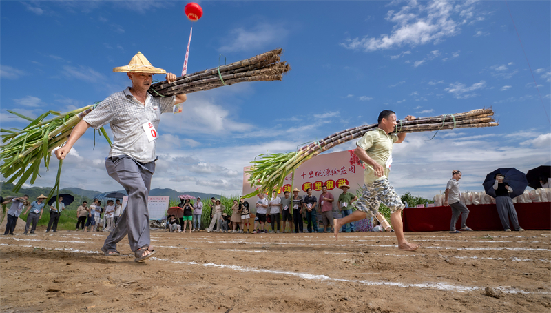 Fujian : une rencontre sportive ludique organisée pour les cultivateurs de canne à sucre de Yongchun