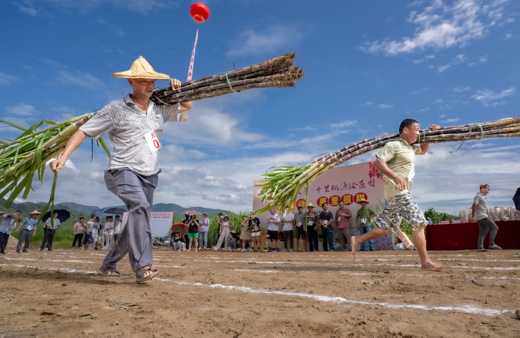 Fujian : une rencontre sportive ludique organisée pour les cultivateurs de canne à sucre de Yongchun