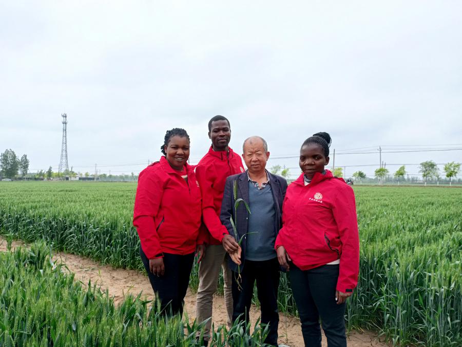 Francina Lerato Kuwali (première à gauche), une étudiante internationale originaire du Malawi à l'Université agricole de Chine, et ses camarades de classe posent pour une photo de groupe avec un agriculteur dans un champ expérimental du comté de Quzhou, dans la province du Hebei (nord de la Chine), en mai. (Photo / Xinhua)