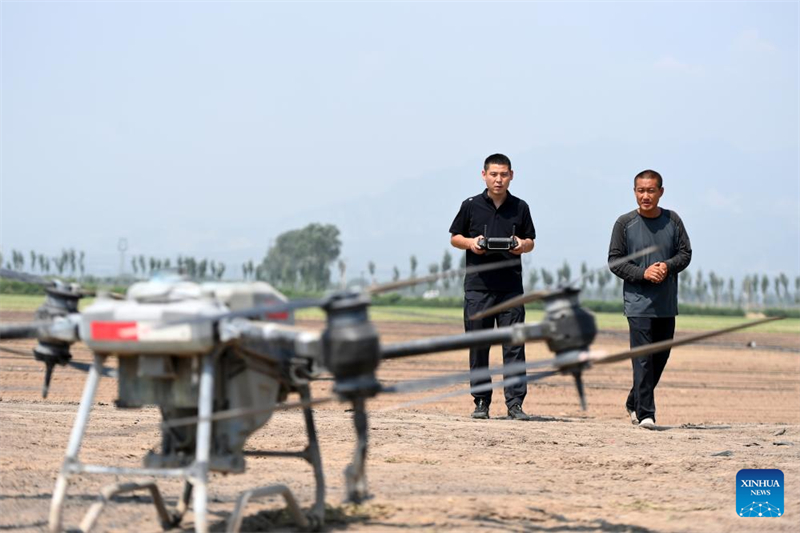 Shanxi : les « nouveaux agriculteurs » apportent de la vitalité à l'agriculture moderne à Wenshui