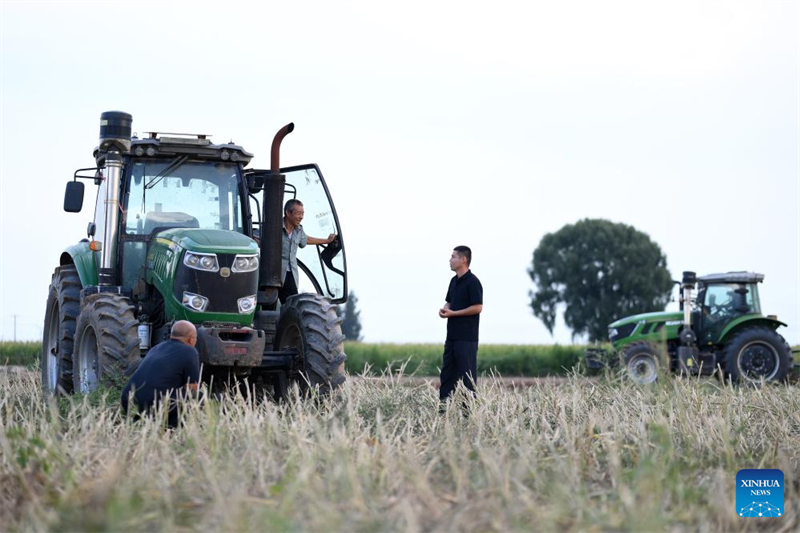 Shanxi : les « nouveaux agriculteurs » apportent de la vitalité à l'agriculture moderne à Wenshui