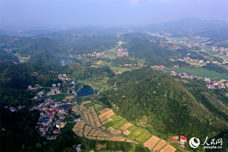 Jiangxi : une belle image des récoltes d'automne dans les villages de montagne de Shangli