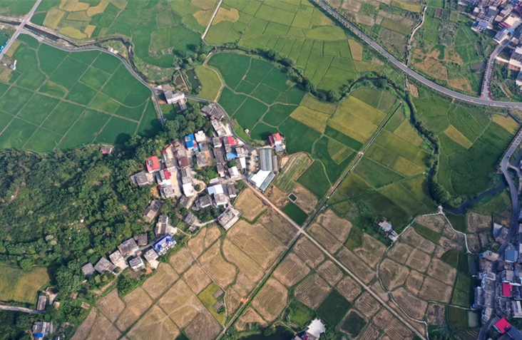 Jiangxi : une belle image des récoltes d'automne dans les villages de montagne de Shangli