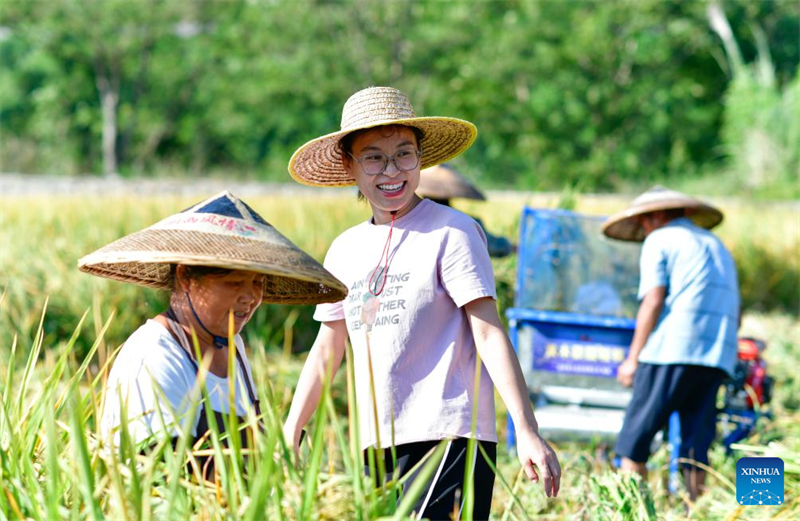 Guizhou : une jeune ouvrière villageoise aide les habitants de Zhouping à développer l'industrie de production de semences de riz