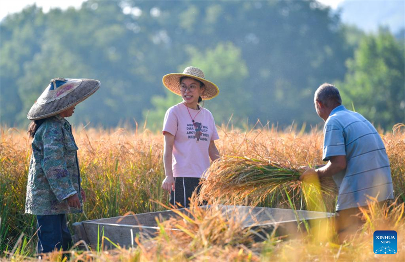 Guizhou : une jeune ouvrière villageoise aide les habitants de Zhouping à développer l'industrie de production de semences de riz